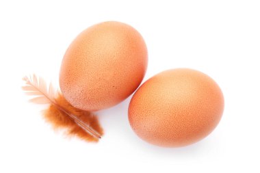 Çiğ tavuk yumurtası ve tüy beyaz, üst manzara