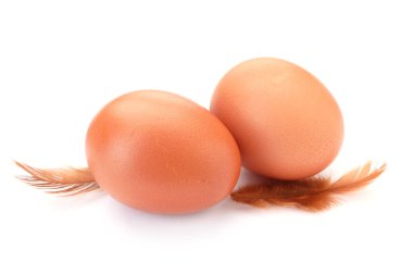 Çiğ tavuk yumurtası ve tüyler beyazın üzerinde izole edilmiş.