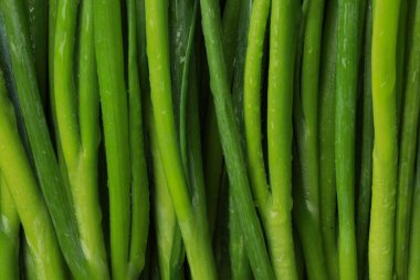 Arka planda su damlaları olan taze yeşil soğanlar, üst görünüm.