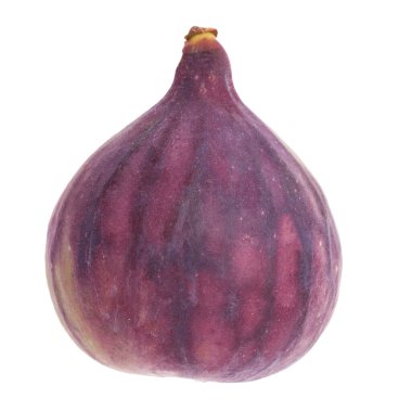 Olgun bir incir bembeyaz.