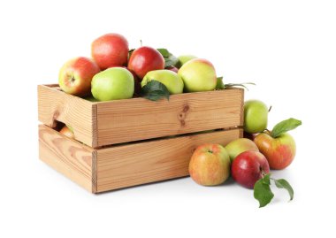 Tahta sandıkta taze olgun elmalar, beyaz üzerinde izole edilmiş.