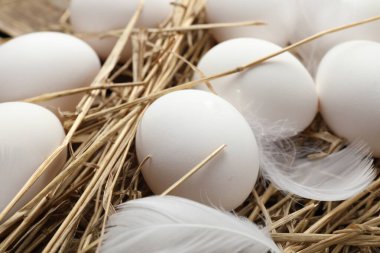 Çiğ tavuk yumurtası, tüy ve saman, yakın plan.