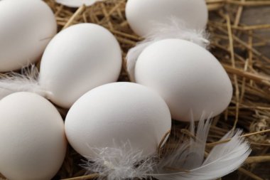 Çiğ tavuk yumurtası, tüy ve saman, yakın plan.