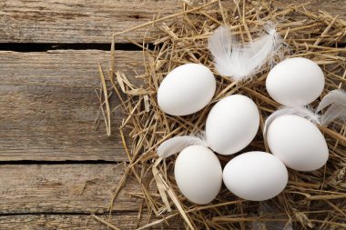 Çiğ tavuk yumurtası, tüy ve saman, ahşap masa, düz yatak. Metin için boşluk