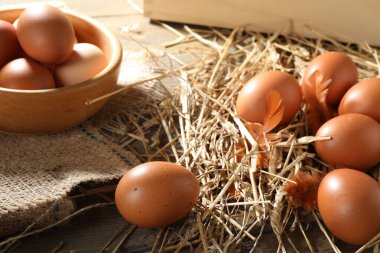 Tabakta çiğ tavuk yumurtası, ahşap masada tüy ve saman, yakın plan.