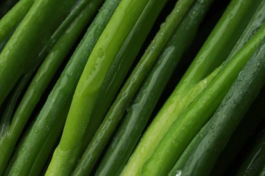 Arka planda su damlaları olan taze yeşil soğanlar, yakın plan.