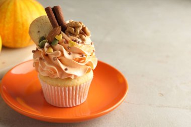 Renkli kremalı, fındıklı, kurabiyeli, tarçınlı ve balkabaklı enfes kek, yakın plan. Metin için boşluk