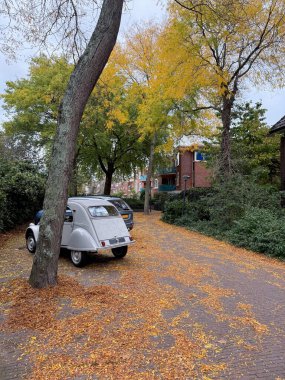 Sonbahar günü park halindeki araçlar ve düşen yapraklar