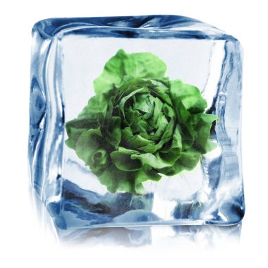 Buz küpünün içindeki taze marul beyaza izole edilmiş.