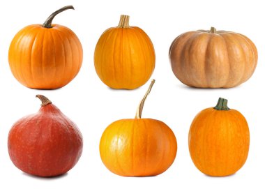 Beyazın üzerinde taze balkabakları var. Sonbahar sebzesi