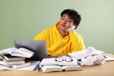 Laptoplu ve kitaplı öğrenci yeşil duvarın yanındaki tahta masada sınava hazırlanıyor.