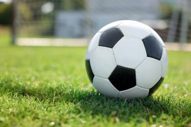 Yeşil çimlerin üzerinde futbol topu, mesaj için boşluk. Futbol oyunu