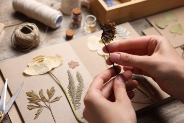 Ahşap masadaki kuru çiçekleri deftere koyan kadın, yakın plan.