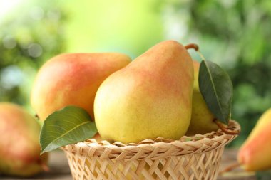 Fresh ripe pears in wicker basket outdoors, closeup