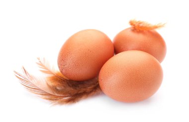 Çiğ tavuk yumurtası ve tüyler beyazın üzerinde izole edilmiş.