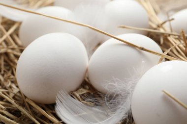 Raw chicken eggs, feather and straw on table, closeup