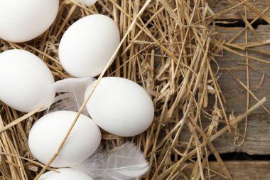 Çiğ tavuk yumurtası, tüy ve saman, ahşap masa, düz yatak. Metin için boşluk