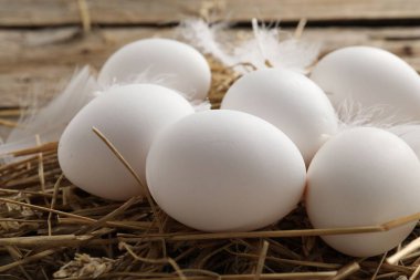 Çiğ tavuk yumurtası, tüy ve saman, yakın plan.