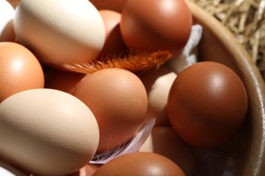 Raw chicken eggs and feathers in bowl, closeup