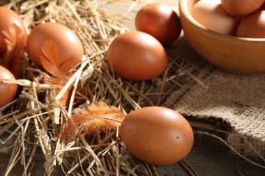 Tabakta çiğ tavuk yumurtası, ahşap masada tüy ve saman, yakın plan.