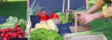 Markette erikli ve farklı taze sebzeli çiftçi, yakın plan.