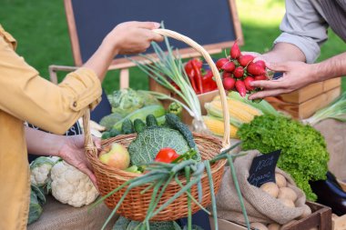 Çiftçi pazarından taze sebze seçen kadın, yakın plan.