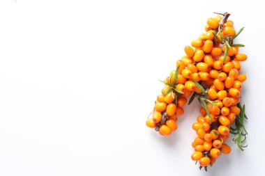 Branches with ripe sea buckthorn berries and leaves on white background, top view. Space for text