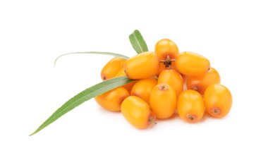 Taze deniz dikenli böğürtlen ve yeşil yapraklar beyaz üzerine izole