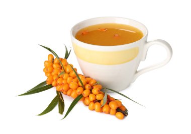 Cup of sea buckthorn tea and fresh berries isolated on white