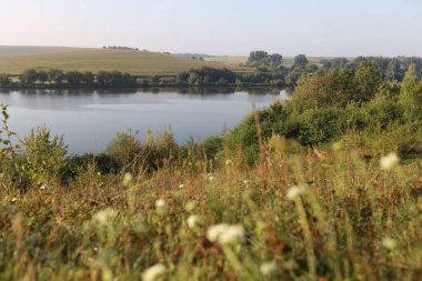 Nehir kıyısı manzarası ve farklı bitkiler