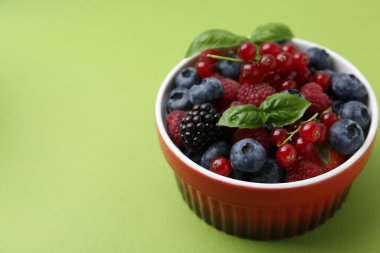 Farklı olgun böğürtlen ve fesleğen yaprakları yeşil arka planda, yakın plan. Metin için boşluk