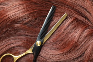 Kestane rengi saç teli ve kuaför makası, yakın plan.
