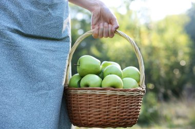 Açık havada içi olgun elmalarla dolu hasır sandıklı bir kadın, yakın plan.