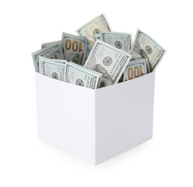 kutu üzerinde beyaz izole dolar