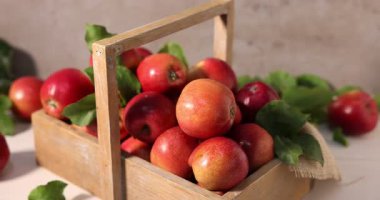 Tahta sandıkta yeşil yapraklı taze elmalar beyaz masada, yakın plan. Kamera açılıyor.
