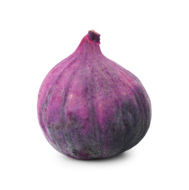 Olgun bir incir bembeyaz.