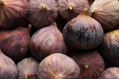 arka plan, üstten görünüm olarak taze olgun incir