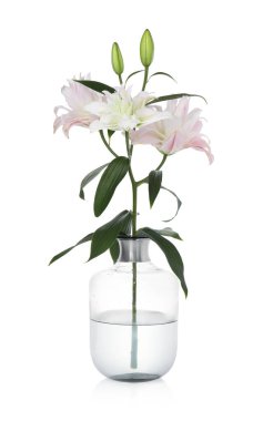Beyaz arka planda cam vazoda güzel zambak çiçekleri