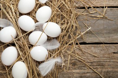 Çiğ tavuk yumurtası, tüy ve saman, ahşap masa, düz yatak. Metin için boşluk