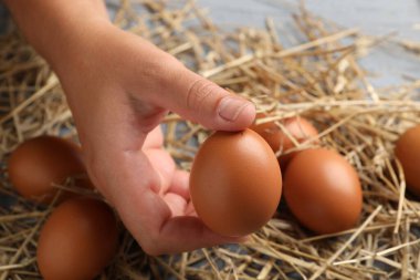 Gri masada çiğ tavuk yumurtası tutan kadın kahverengi ve samanla yakın plan.