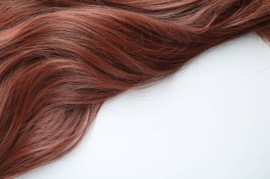 Beyaz arka planda kestane rengi saç teli, üst manzara. Metin için boşluk