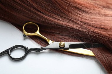 Beyaz arka planda kestane rengi saç teli ve kuaför makası, yakın plan.