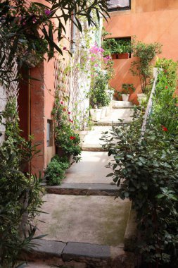 Şehir caddesindeki binanın yakınındaki güzel saksı bitkileri