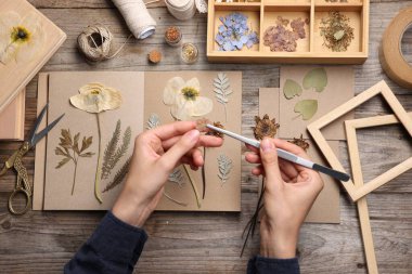 Ahşap masa, üst manzara, kuru çiçekleri deftere koyan kadın.