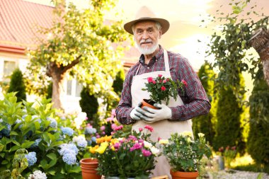 Şapkalı ve önlüklü yaşlı bir adamın portresi Bahçede güzel saksı çiçekleri