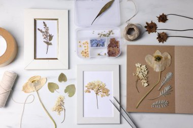 Kuru çiçekli düz kompozisyon ve beyaz mermer masa üzerinde resim çerçeveleri