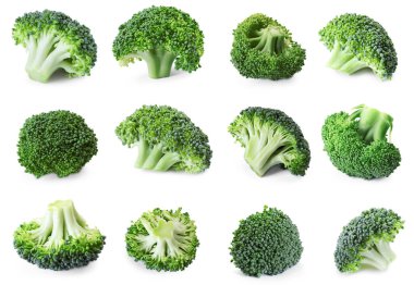 Taze brokoli çiçekleri beyaz sette izole edilmiş.