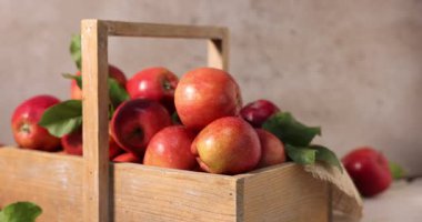 Tahta sandıkta yeşil yapraklı taze elmalar beyaz masada, yakın plan. Kamera sola hareket ediyor