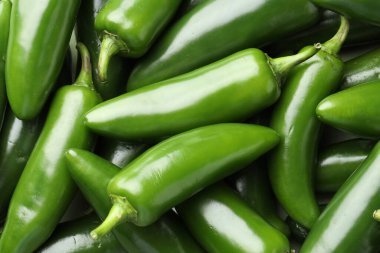 Arka plan olarak taze yeşil biberler, üst görünüm