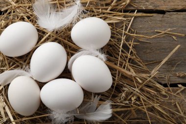 Çiğ tavuk yumurtası, tüy ve saman, ahşap masa, düz yatak. Metin için boşluk